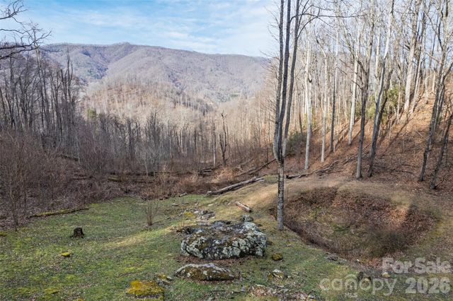 10 Zenith Drive, Waynesville, NC 28785