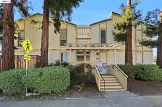 1945 Trinity Ave 1, Walnut Creek, CA 94596