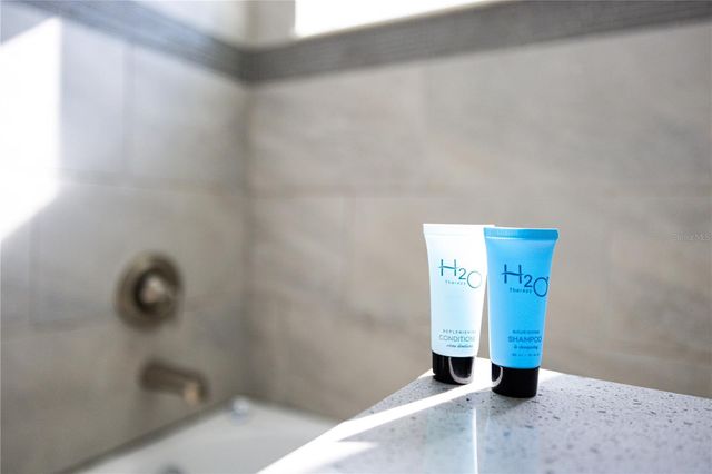 356 OCEAN COURSE AVENUE, Davenport, FL 33896