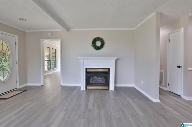 15 COUNTY ROAD 12, Odenville, AL 35120