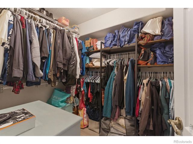 1303 S Harvester Drive, Milliken, CO 80543