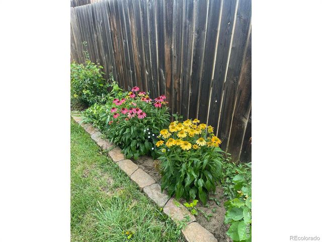 1303 S Harvester Drive, Milliken, CO 80543