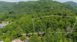 33 & 34 Raptor Way, Landrum, SC 29635