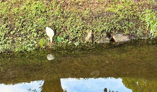 34579 GARDENIA DRIVE N, Pinellas Park, FL 33781