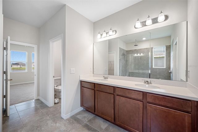 11810 TETRAFIN DRIVE, Riverview, FL 33579