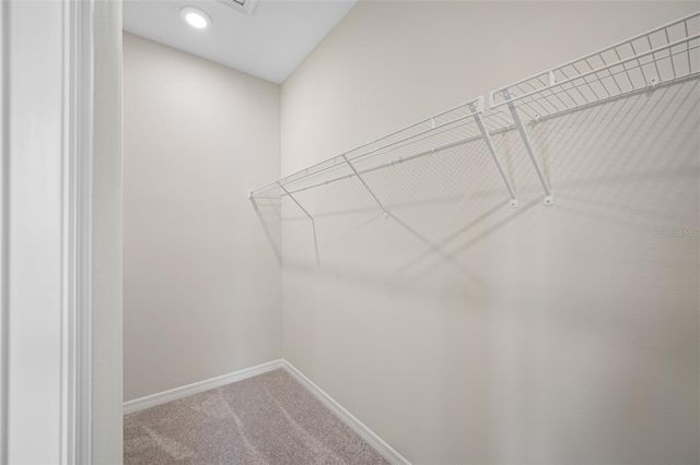 11810 TETRAFIN DRIVE, Riverview, FL 33579