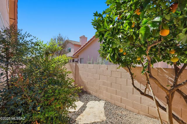 9907 N Woodstone Trail, Tucson, AZ 85742