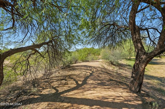 9907 N Woodstone Trail, Tucson, AZ 85742