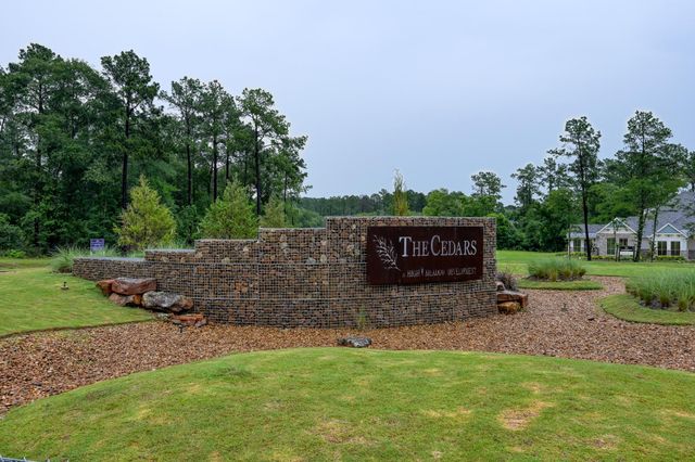 9735 Lakeside Oaks Dr, Plantersville, TX 77363