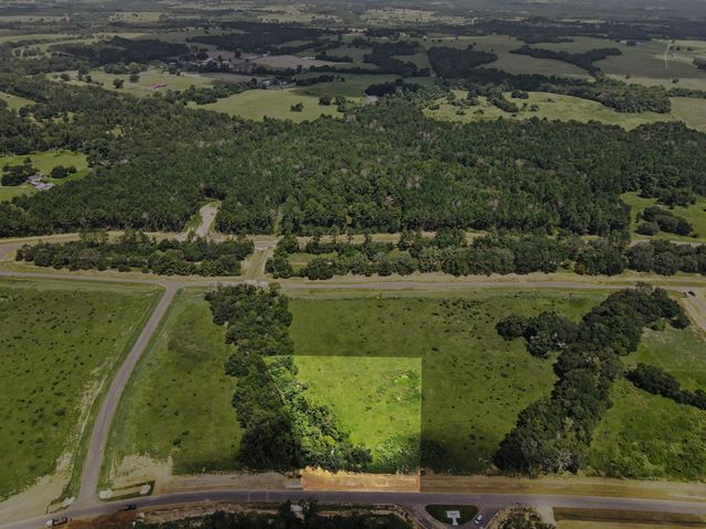 9735 Lakeside Oaks Dr, Plantersville, TX 77363