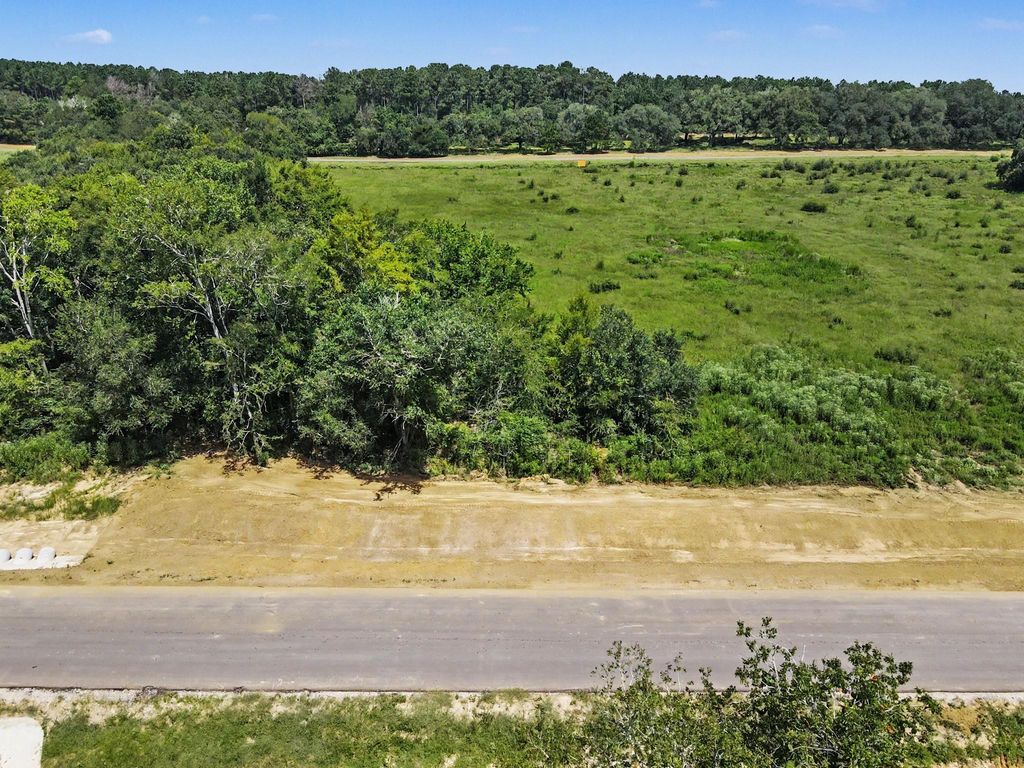 9735 Lakeside Oaks Dr, Plantersville, TX 77363