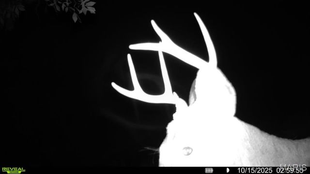 6230 Big River Heights Road, De Soto, MO 63020