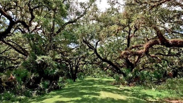 13825 BILSDALE COURT, Myakka City, FL 34251