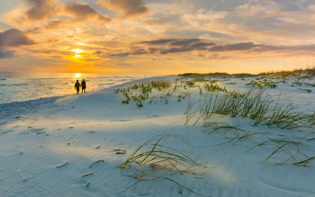 13825 BILSDALE COURT, Myakka City, FL 34251