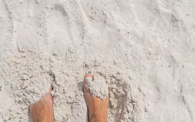 13825 BILSDALE COURT, Myakka City, FL 34251