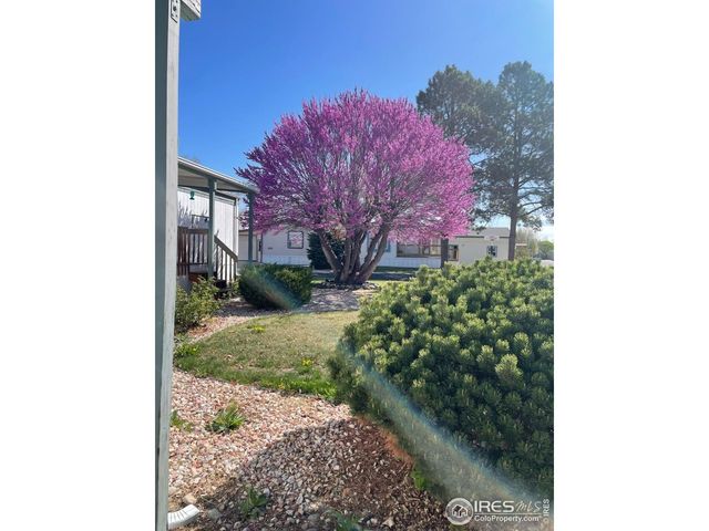 1166 Madison Ave 131, Loveland, CO 80537