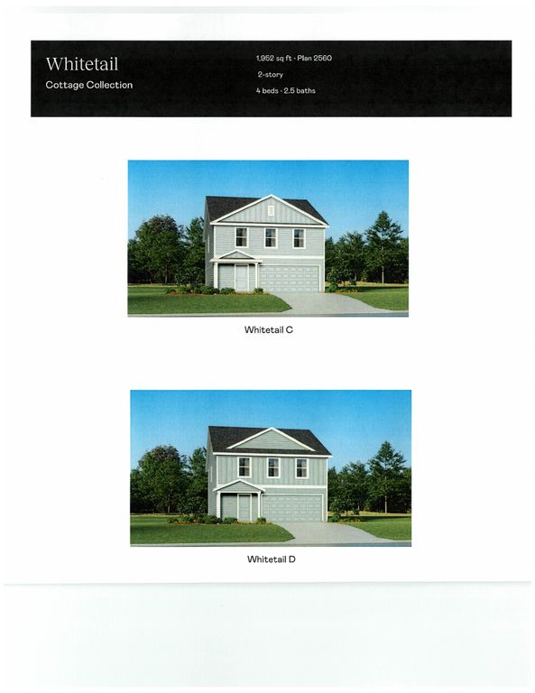 579 Cambria Dr, Longs, SC 29568 — photo 3