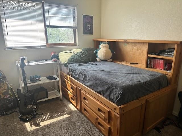 2522 Astrozon Circle, Colorado Springs, CO 80916