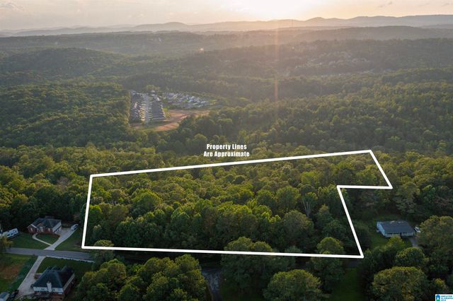 0 LEVINE ROAD, Odenville, AL 35120