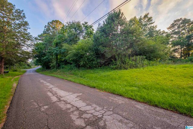 0 LEVINE ROAD, Odenville, AL 35120