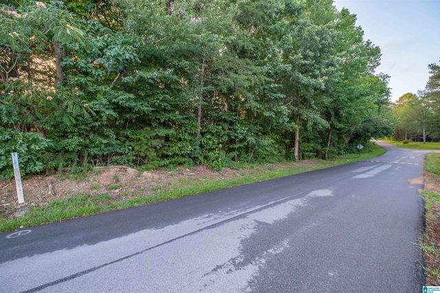 0 LEVINE ROAD, Odenville, AL 35120