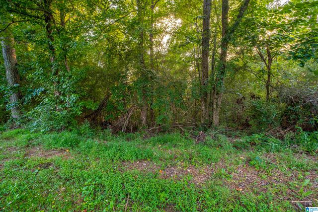 0 LEVINE ROAD, Odenville, AL 35120