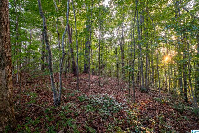 0 LEVINE ROAD, Odenville, AL 35120