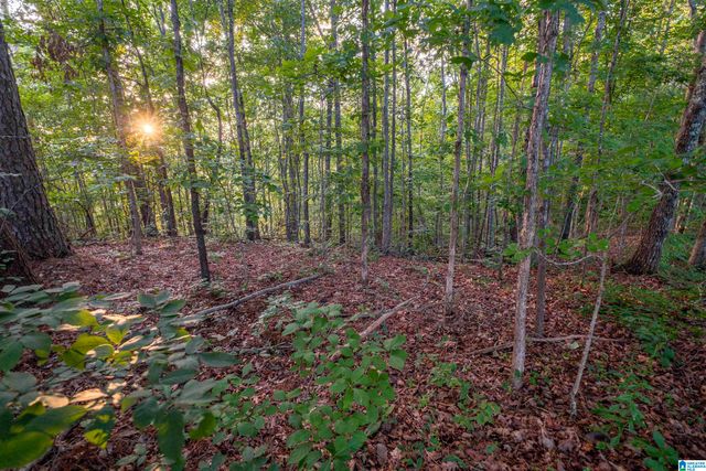 0 LEVINE ROAD, Odenville, AL 35120