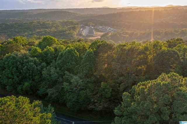 0 LEVINE ROAD, Odenville, AL 35120