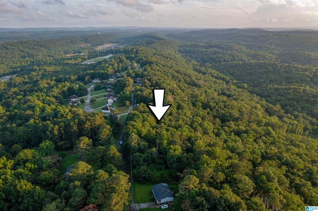 0 LEVINE ROAD, Odenville, AL 35120