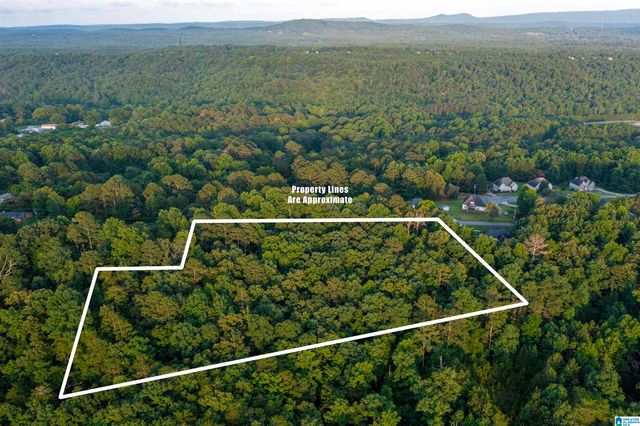 0 LEVINE ROAD, Odenville, AL 35120