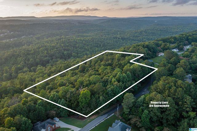 0 LEVINE ROAD, Odenville, AL 35120