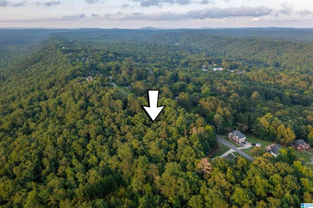 0 LEVINE ROAD, Odenville, AL 35120