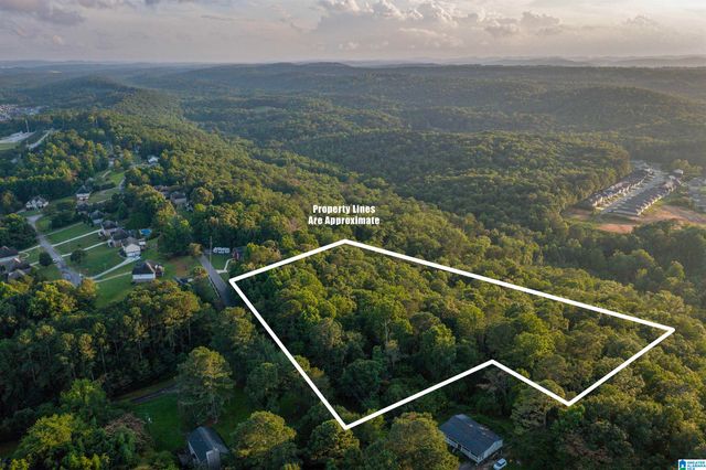 0 LEVINE ROAD, Odenville, AL 35120