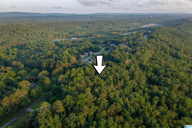 0 LEVINE ROAD, Odenville, AL 35120