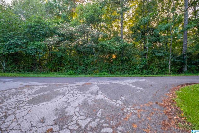 0 LEVINE ROAD, Odenville, AL 35120