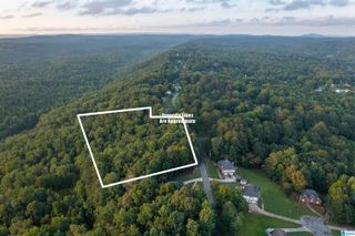 0 LEVINE ROAD, Odenville, AL 35120
