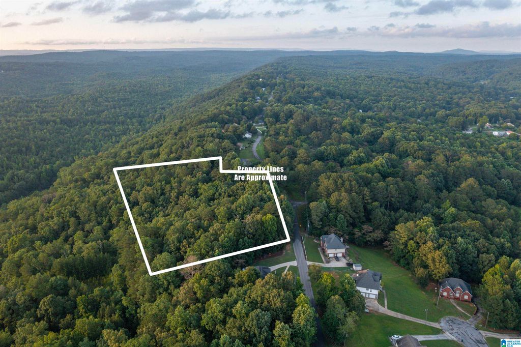 0 LEVINE ROAD, Odenville, AL 35120