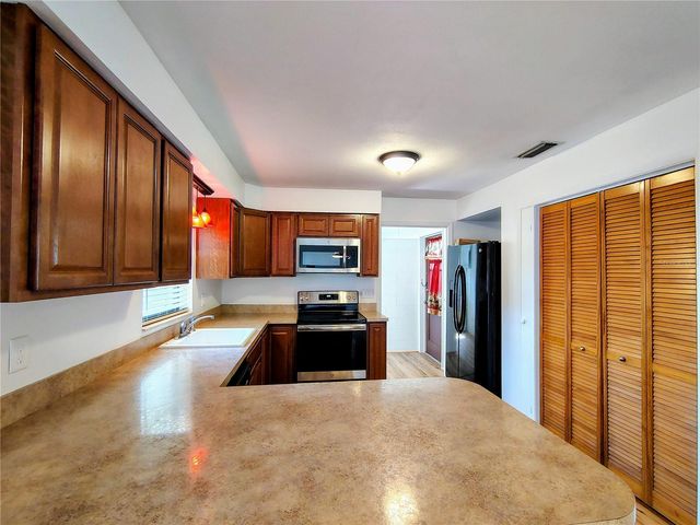 1240 CR 463, Lake Panasoffkee, FL 33538