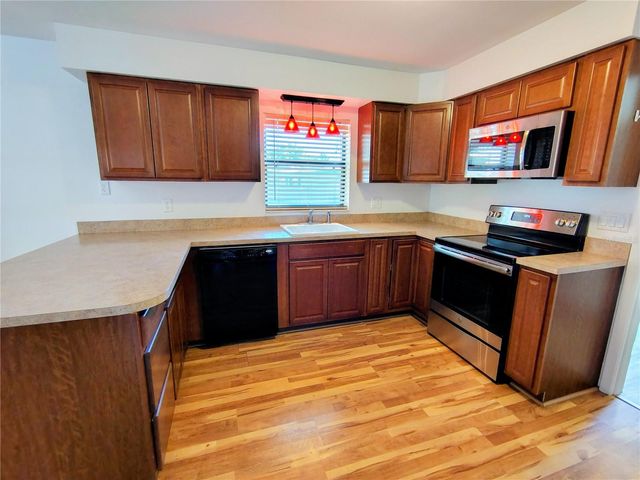 1240 CR 463, Lake Panasoffkee, FL 33538