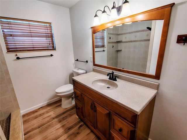1240 CR 463, Lake Panasoffkee, FL 33538