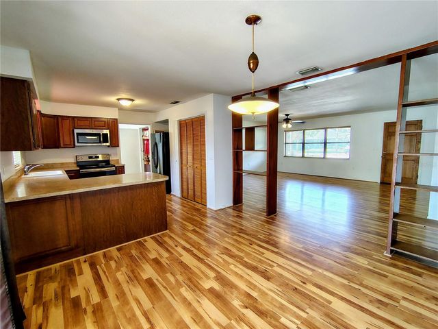 1240 CR 463, Lake Panasoffkee, FL 33538