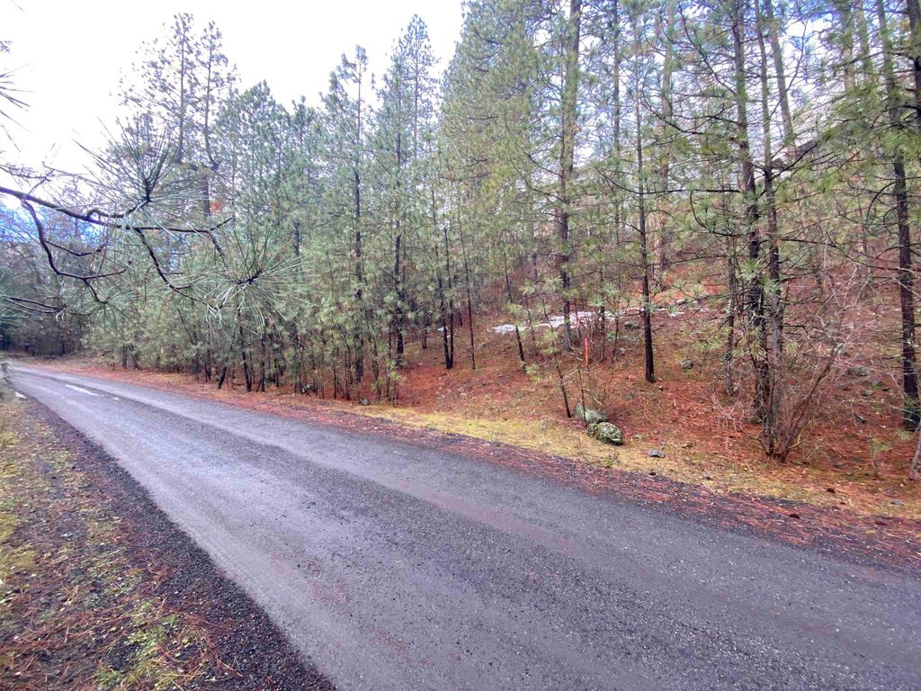 104X S Azalea Dr, Spokane, WA 99224 photo 2
