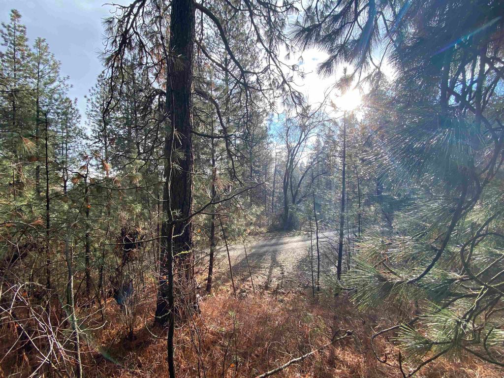 104X S Azalea Dr, Spokane, WA 99224 photo 11