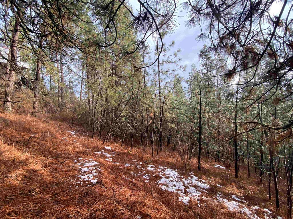 104X S Azalea Dr, Spokane, WA 99224 photo 5