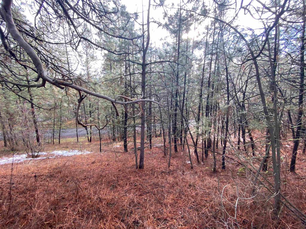 104X S Azalea Dr, Spokane, WA 99224 photo 9