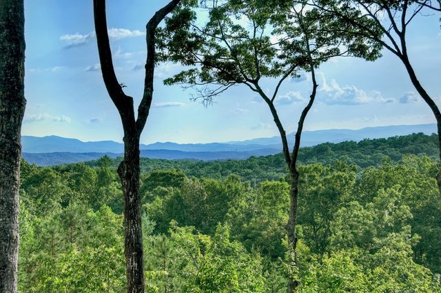 67 Antler Way, Morganton, GA 30560