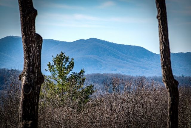 67 Antler Way, Morganton, GA 30560