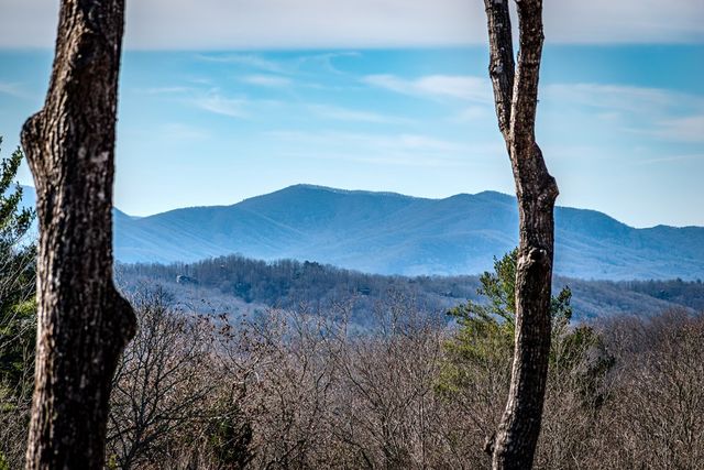 67 Antler Way, Morganton, GA 30560