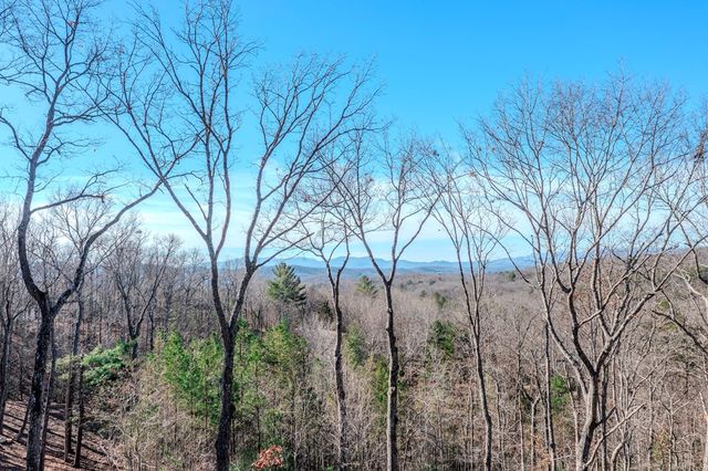 67 Antler Way, Morganton, GA 30560